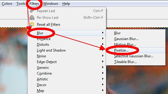 Click Filters > Blur > Pixelize...